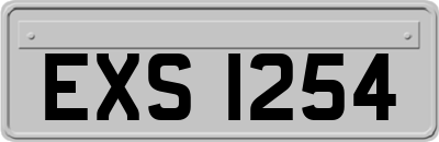 EXS1254