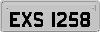 EXS1258