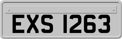 EXS1263