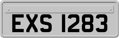 EXS1283