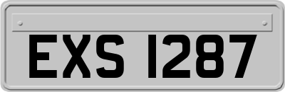 EXS1287