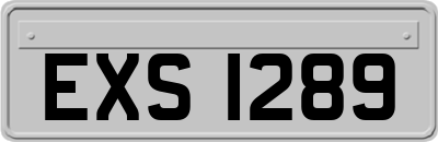 EXS1289
