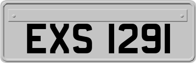 EXS1291