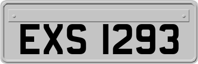 EXS1293