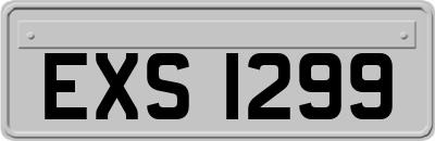EXS1299