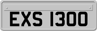 EXS1300
