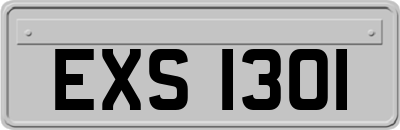EXS1301