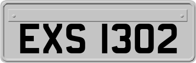 EXS1302