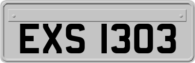EXS1303