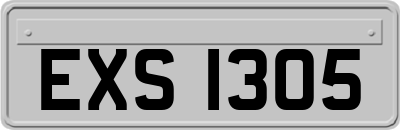 EXS1305