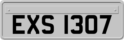 EXS1307