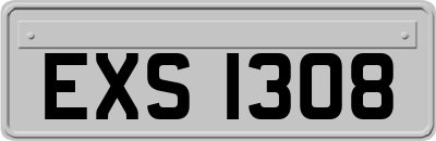 EXS1308