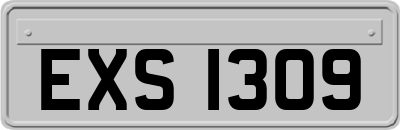 EXS1309