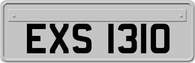 EXS1310