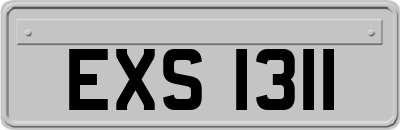 EXS1311