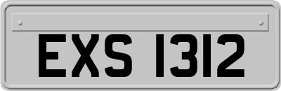 EXS1312