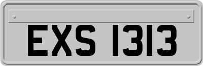 EXS1313