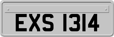 EXS1314