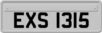 EXS1315