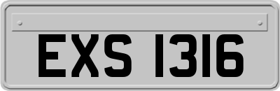 EXS1316