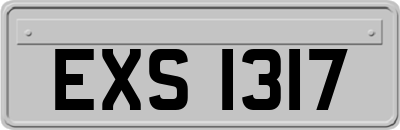 EXS1317