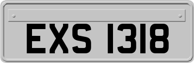 EXS1318