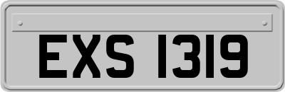 EXS1319