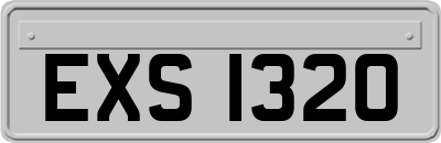 EXS1320