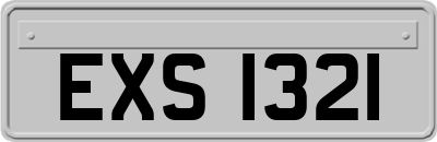EXS1321
