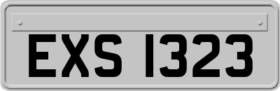 EXS1323