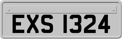 EXS1324