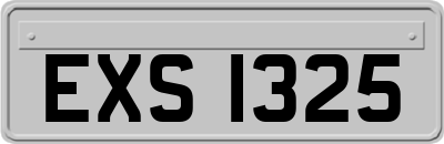 EXS1325