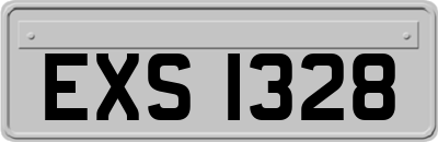 EXS1328