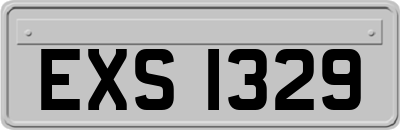 EXS1329