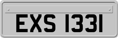 EXS1331