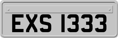 EXS1333