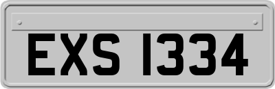 EXS1334