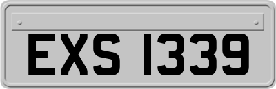 EXS1339