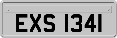 EXS1341