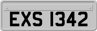 EXS1342