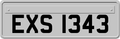 EXS1343