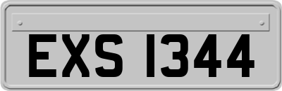 EXS1344