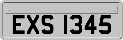EXS1345