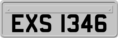 EXS1346