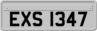 EXS1347