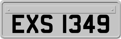 EXS1349