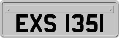 EXS1351