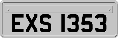 EXS1353