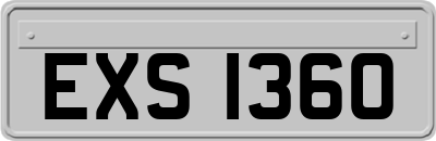 EXS1360