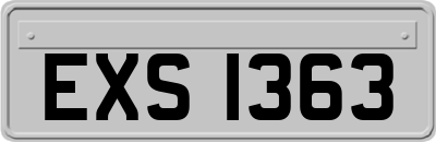 EXS1363